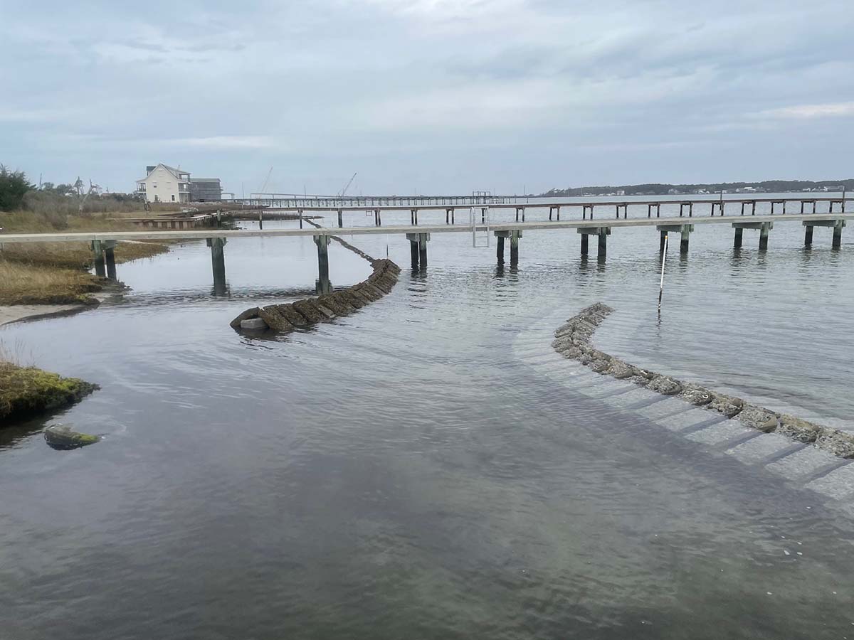 Adding Life To Shorelines Marina Dock Age