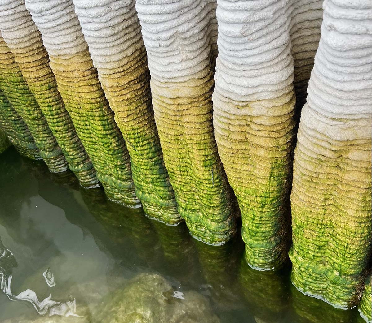 3D Printed Seawalls: Eco-Friendly Erosion Control | Marina Dock Age