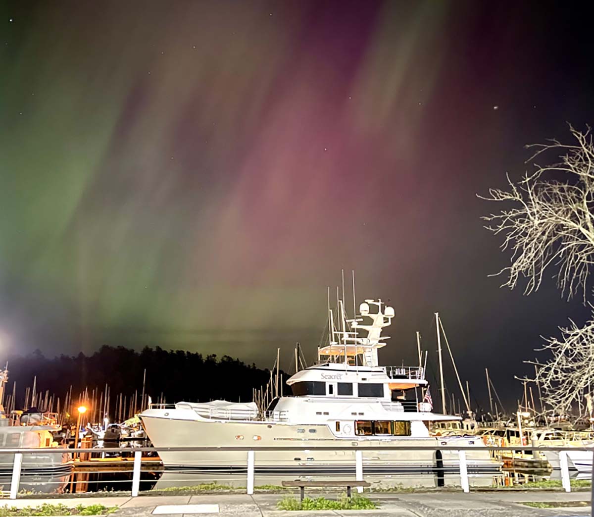 Cap Sante Marina - Northern Lights2