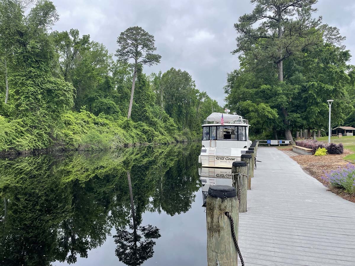 Dismal Swamp North Carolina